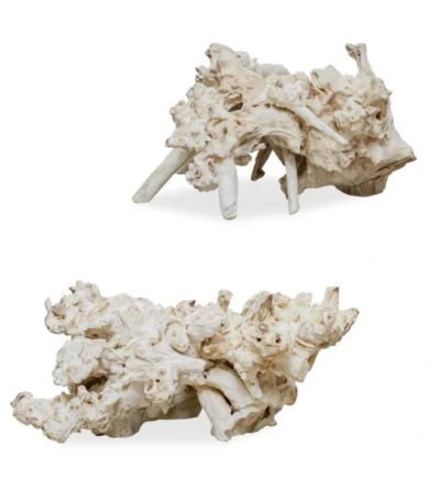 raiz elemental outdoor decor